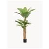 Bizzotto Pianta artificiale XL Baa -