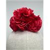 NONE Tre piccoli fiori di garofano rosso, misuranti 13 cm.