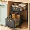 zollor Organizzatore Estraibile a 2 Livelli per Armadio, Altezza Regolabile, Scaffale da Cucina per Organizzazione Sotto il Lavello, Ripiano per Barattoli di Spezie