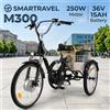 NONE SMARTRAVEL M300 Triciclo Elettrico per Adulti, Motore Brushless 250W, Batteria al Litio 36V15AH, Pneumatici 24*2.125 Pollici, Bici Elettrica per Città