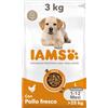 IAMS Cibo secco per cani cuccioli taglia grande con pollo, 3 kg