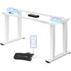 FLEXISPOT Scrivania Regolabile in Altezza Elettrica con Doppio Motore, Portata 250 kg, 3 Memorie, Porte USB Integrate, Promemoria Sedentarietà e Anti-Collisione, per Home Office e Ufficio
