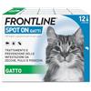 FRONTLINE Spot On, 12 Pipette, Gatto, Antiparassitario per Gatti e Gattini di Lunga Durata, Protegge da Zecche, Pulci e Pidocchi, Antipulci in Confezione da 12 Pipette da 0.5 ml