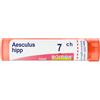 BOIRON Srl Boiron Aesculus Hippocast 7CH Granuli Tubo