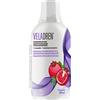 VELA FARMACEUTICI Veladren - Drenante Forte Liquido 500 ml, Ritenzione Idrica, Drenaggio dei Liquidi e Microcircolo con Bromelina, Tarassaco, Centella e Pungitopo, per Gambe Pesanti - Made in Italy - Vela Farmaceutici