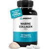 Ambervit Collagene Marino Idrolizzato in Capsule 1500mg - Peptidi di Tipo 1 | 120 Capsule, Fornitura per 40 Giorni | Integratore di Collagene di Pesce per Donna e Uomo | Formula Pulita | Ambervit