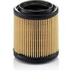 Mann Filter MANN-FILTER, C 710/1 Filtro aria