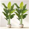 Keeplush Pianta Artificiale Uccello del Paradiso 200cm Alta, Piante Finte da Interno Grandi Finta con 15 Foglie Albero di Banano Artificiale Per Interni Esterno Soggiorno Ufficio Giardino Dec（2 PACK）