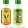 Argan Italia - Olio di Neem e Sapone Molle Potassico per Piante 1+1 Litri, Olio di Neem Solubile Agisce Naturalmente Contro Insetti e Funghi, il Sapone Molle di Potassio Potenzia il Trattamento