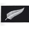 AZ FLAG Bandiera Nuova Zelanda All Black 90x60 cm 2 Occhielli | Uso interno ed esterno bandiera decorativa neozelandese New Zealand Fern Black with inscriptions con occhielli metallici