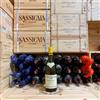 Regnard Bourgogne Chardonnay 2024 Regnard