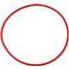 Generico Anello di tenuta for fotocamera subacquea, TG5/6 PT058 059 | Guarnizione O ring in silicone for custodia impermeabile subacquea, rossa, 1Pc, 10.7cm