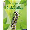 Sam Hogan Oxford Reading Tree Word Sparks: Level 1: The Life of a Ca (Tascabile)