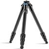 SIRUI Treppiede in Fibra di Carbonio AM-284, 120cm Professionale Treppiede per Fotocamera DSLR e Video, 4 Sezioni Gambe con Blocchi a Rotazione, Supporta 15kg, Compatto da Viaggio