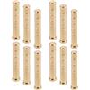 SOESFOUFU 12 Pezzi Inserti per Frecce in Ottone da 100 Grain Design per Diametro Interno 6,2mm, Ottimizzati per Stabilità e Precisione nel Tiro con L'Arco