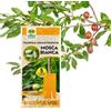 Albagarden - Trappola Cromotropica Arancione Per Mosca Bianca - Adesiva A Doppia Forza - Pannelli Cattura Insetti, Trappole Anti Insetti X 5 Pz