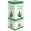 Benessere Farmacia Ficus carica macerato glicerico 100 ml