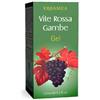ERBAMEA Srl Gel Vite Rossa Gambe 125 ml - Gel per l'Azione Protettiva Lenisce e Rivitalizza
