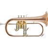 GEWA Roy Benson Bb Flugelhorn FH-302G (con foro MS da 11 mm, campana in ottone dorato, inclusa custodia rettangolare leggera, con funzione di zaino, dimensioni: 6), laccato