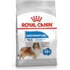 Royal & Langnickel Royal Canine Adult Light Weight Care Maxi 12 Kg