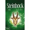 P. Michel A. Wagner Steinbock: 22. Dezember - 20. Januar (Copertina rigida)
