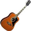 EKO Ranger VI VR EQ Natural Top Stained Chitarra Elettrificata Amplificata Ra...