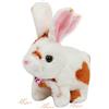 Cuteoy Walking - Peluche a forma di coniglio marrone, parlante, sbalorditivo, giocattolo educativo per ragazze e ragazzi, per compleanno, 17,8 cm