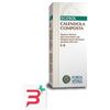 FORZA VITALE ITALIA SRL ECOSOL MENOREG GOCCE 50 ML