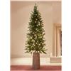 EDG - Enzo De Gasperi Pino Artificiale Albero di Natale con 260 Mini LED Slim Verde DØ60xh150 cm
