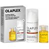 Olaplex Endless Shine Smooth Hair Cofanetto Edizione Limitata Con Olio Legante N. 7 E Olio Lisciante N. 6