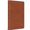 ESV ESV Value Thinline Bible (Rilegato in ecopelle)