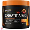 ES ITALIA SRL BRAND ETHICSPORT CREATINA 5,0 300 G CON EDULCORANTE SENZA GLUTINE