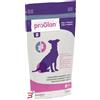 CUSTOM VET PRODUCTS LTD PROGLAN 30 BOCCONCINI