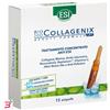 ESI SRL ESI BIOCOLLAGENIX 15 AMPOLLE DA 1,8 ML