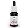 BUSH BIOTHERAPIES Pty Ltd DOG ROSE WILD FORCE AUSTR 15ML