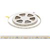 Striscia LED 24V 10W/m Alta Efficienza Professionale - IP67 - 5 metri