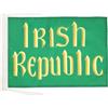 AZ FLAG Bandiera Repubblica d'Irlanda 45x30 cm Poliestere 100D Cordini | Uso interno ed esterno bandiera decorativa irlandese Easter Rising Irish Republic doppie cuciture e bordi rinforzati