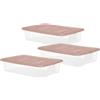 MAURY'S IL NUMERO UNO DEL RISPARMIO SET 3 PZ BOX SCATOLA SOTTO LETTO DA 60X40XH14CM IN PLASTICA CON COPERCHIO (Rosa)