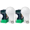 V-TAC Lampadina LED A80 con Attacco E27 20W (Equivalenti a 150W) - 2452 Lumen - Lampadine LED con Massima Efficienza e Risparmio Energetico - Luce Bianca Fredda 6500K (Confezione da 2)