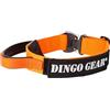 DINGO GEAR WWW.DINGOGEAR.COM 1977 DINGO GEAR - Collare per cani Cobra con fibbia di sicurezza professionale, manico resistente ed etichetta attaccata con chiusura in velcro, per addestramento alla difesa, attività speciali,
