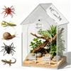 BORDRISE Mini Terrario Acrilico per Ragni, 12x12x20cm Faunabox per Insetti | Nessun montaggio! Rete antifuga 1mm & oblò per cibo. Terrario per lumache con fondo 100% a tenuta stagna.