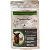 TraumaPet Dental Integratore per Denti e Alito | Riduce Placca e Tartaro | Contrasta Alitosi | Ascophyllum nodosum | Integratore Naturale