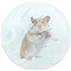 Generic 2 Palline Trasparenti Per Criceti, Palla Da Corsa Per Criceti, Con Fori Di Ventilazione, Ruota Trasparente Per Criceti, Topi, Orsi Dorati, Animali Domestici