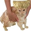 ITODA Cuffia da doccia per cani e animali domestici, impermeabile, per cani e gatti, riutilizzabile, per proteggere le orecchie del cane e del gatto