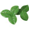 PATIKIL 9.5 cm Foglie Artificiali Verdi 50 Pezzi Fogliame Finto Sepali Foglie Finte Rosa Ghirlanda Arrangiamento Materiale Per Bouquet Matrimonio Corone Decorazione Verde