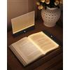 PZSUNLY Luce da Lettura per Libro, Lampada da Lettura con Timer, Nera | Lampada Led Ricaricabile, LED HD Pannello,Dimmabile,3 Temperatura di Colore, Luce Lettura Libro Notturna per Letto e Divano