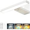 BrightArk Lampada Quadro Ricaricabile senza Filo con Telecomando, Bianco