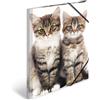 HERMA 7143 - Cartellina portadocumenti, formato DIN A3, in plastica resistente, con alette interne stampate ed elastico, per bambini, ragazzi e ragazze, motivo: gatti