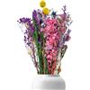 Pawsautomotively 39 pezzi Set di decorazioni con fiori secchi, molte varietà, fiori artificiali, colori intensi, lunga durata, non appassiscono, per decorazioni quotidiane per casa, feste e matrimoni