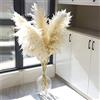 QASIMOF 5 pezzi fiori secchi erba di pampa, erba di pampa bianca grande essiccato alto e naturale soffice altezza 48 pollici (120 cm), composizione matrimonio boho decorazione soggiorno decorazione pasquale